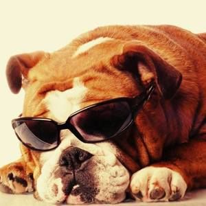 Meet your Posher, Austin